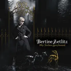 My Italian Greyhound - Bertine Zetlitz