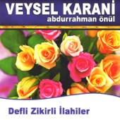 Veysel Karani artwork