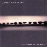 James McMurtry - Red Dress