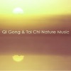 Qi Gong & Tai Chi Nature Music – World New Age Music for a New Beginnning & Rejuvenation, 2015