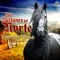 Mi Amigo el Tordillo - Los Sultanes Del Norte lyrics