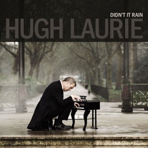 Didn't It Rain (Deluxe)
