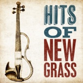 Hits of Newgrass artwork