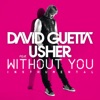 Without You (feat. Usher) [Instrumental Version] - Single