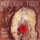 Rebekah Todd - On the Run