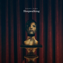 Zagar - Sleepwalking (feat. Kama)