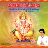 Ganesh Ashtakam Yatho Ananta artwork