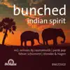 Indian Spirit (Remixes) album lyrics, reviews, download