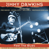Feel the Blues 2014 Remix - Jimmy Dawkins