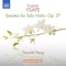 Violin Sonata in A Minor, Op. 27, No. 2: II. Malinconia. Poco lento artwork