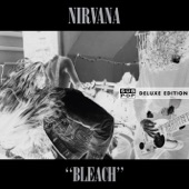 Bleach (Deluxe Edition) artwork