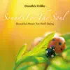 Sounds for the Soul: Beautiful Music for Well-Being album lyrics, reviews, download
