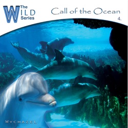 Wychazel - Islands in a Sea of Dreams