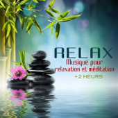 Musique pour relaxation et méditation (SPA - Musique de bien-être) - Double Zero