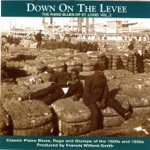 Down On the Levee: The Piano Blues of St. Louis Vol. 2