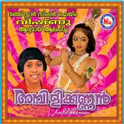 Ambilikkannan by Vishnu, Syama, Joys & Krishnendu album reviews, ratings, credits