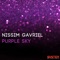 Purple Sky - Nissim Gavriel lyrics