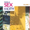 Irma At Sex and the City, Vol. 1