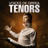 Voices of Opera: Tenors artwork