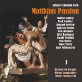 Bach: Matthäus Passion, BWV 244, Vol. 1 artwork