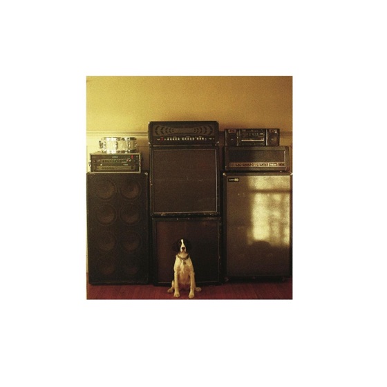 Cover artwork for Sandy