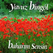 Baharım Sensin artwork