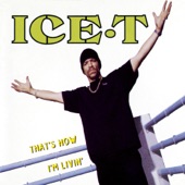 Ice-T - New Jack Hustler (Nino's Theme) [12'' Mix]