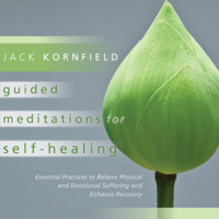 Jack Kornfield - Guided Meditations for Self-Healing: Essential Practices to Relieve Physical and Emotional Suffering and Enhance Recovery artwork