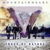 Mountain Heart - Man In The Mirror