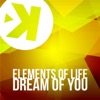 Dream of You - Single