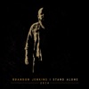 Brandon Jenkins - The River