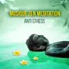 Stream & download Musique Zen Meditation Anti Stress – Détente, relaxation, yoga, spa, sérénité, massage et relax, berceuse pour endormir, sons de la nature