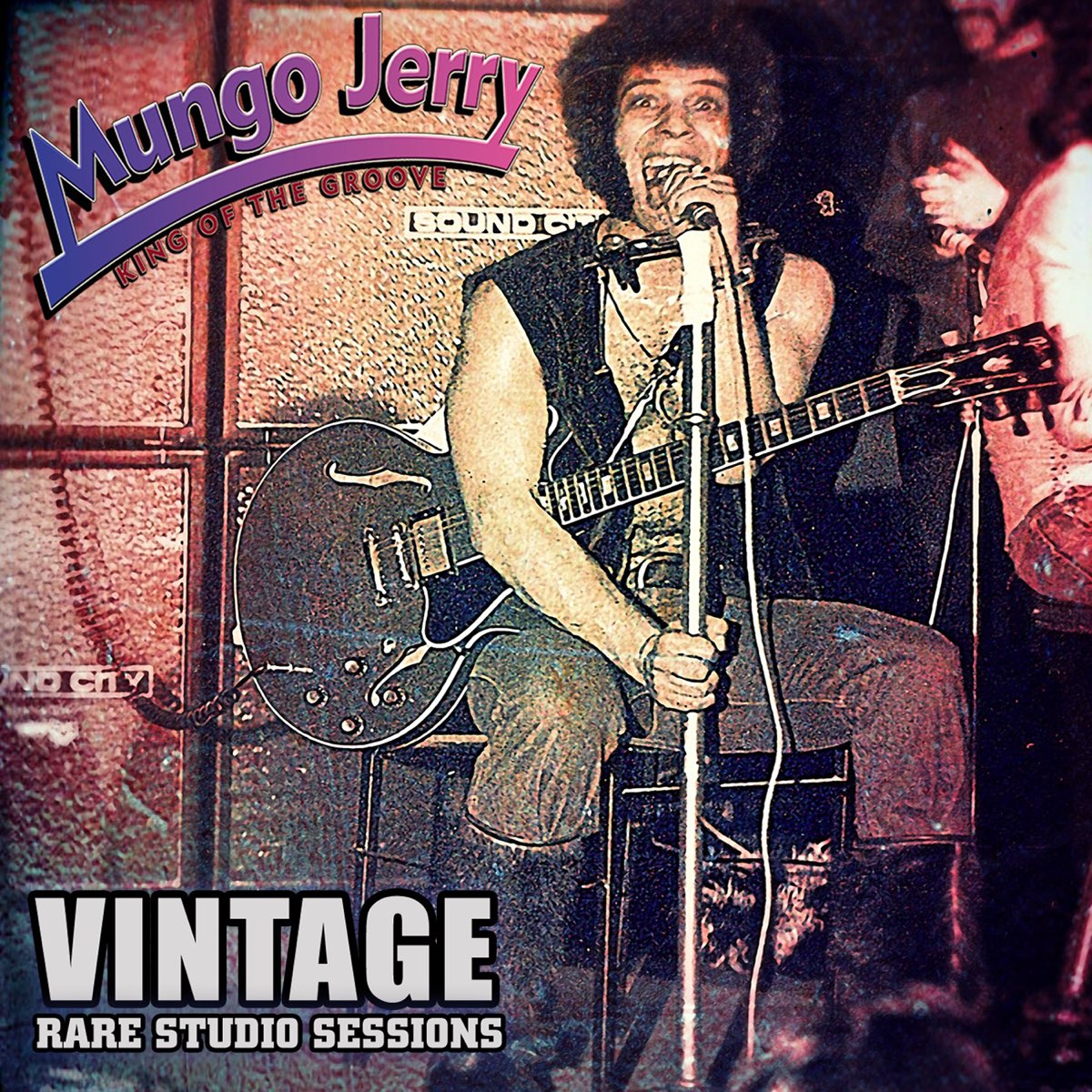 Vintage: Rare Studio Sessions by Mungo <b>Jerry</b>.