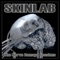 Paleface (Remixed James Murphy Roadrunner Demo) - Skinlab lyrics