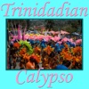 Trinidadian Calypso, 2014