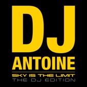 Sky Is the Limit (Dirty Disco Youth Remix) artwork
