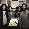 The Best of Ziggy Marley & the Melody Makers, 2008
