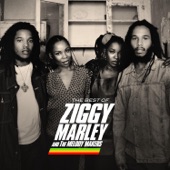 Ziggy Marley & The Melody Makers - Give A Little Love