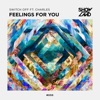 Feelings for You (feat. Charles) - Single