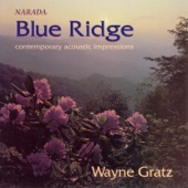 Wayne Gratz - Scenes Of Reflection