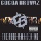 Spanish Harlem - Cocoa Brovaz lyrics