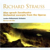 Also Sprach Zarathustra - Orchestra Excerpts from the Operas artwork