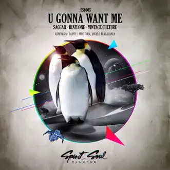 U Gonna Want Me by Saccao, Biatlone & Vintage Culture song reviws