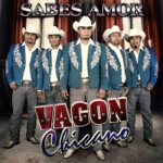 Sabes Amor