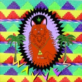 Wavves - King of the Beach