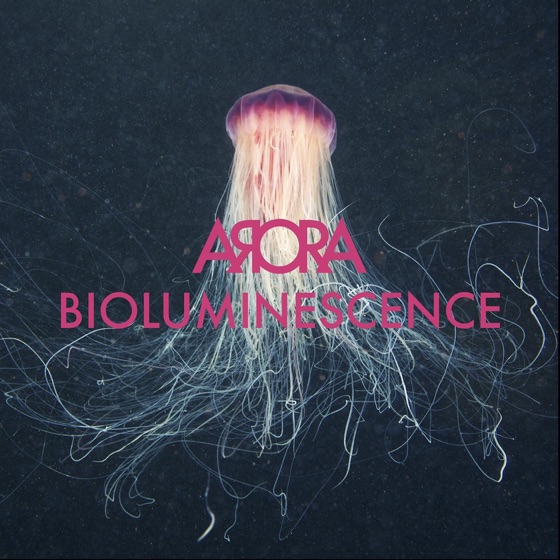Cover artwork for Reconcile