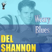 Del Shannon - Long Gone Lonesome Blues