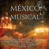 México Sentimiento Musical artwork