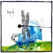 Dragonfly - EP artwork