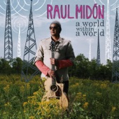 Raul Midón - Pick Somebody Up